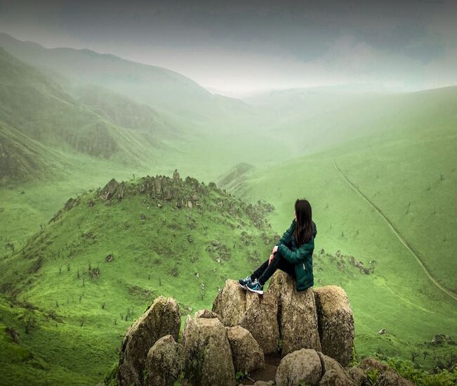 Lomas de Lachay – 2025